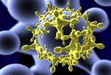 Verem Mikrobu Belirtileri ve Tedavisi Verem Mikrobu Belirtileri ve Tedavisi