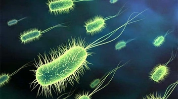 Mikrop Türleri ve Özellikleri Mikrop Türleri ve Özellikleri